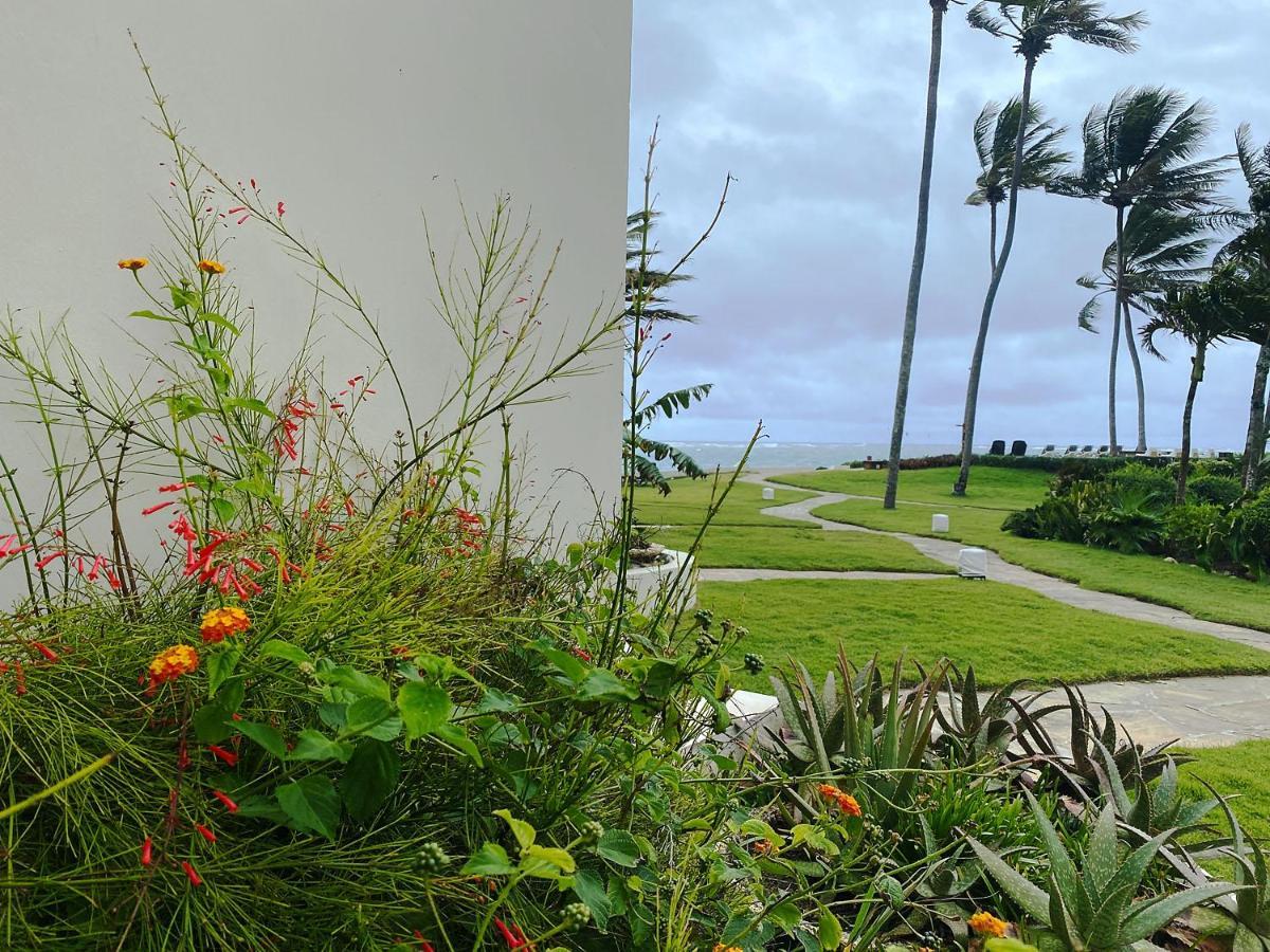 Cabarete Beachfront Condos At Nanny Estate C-5 Eksteriør bilde